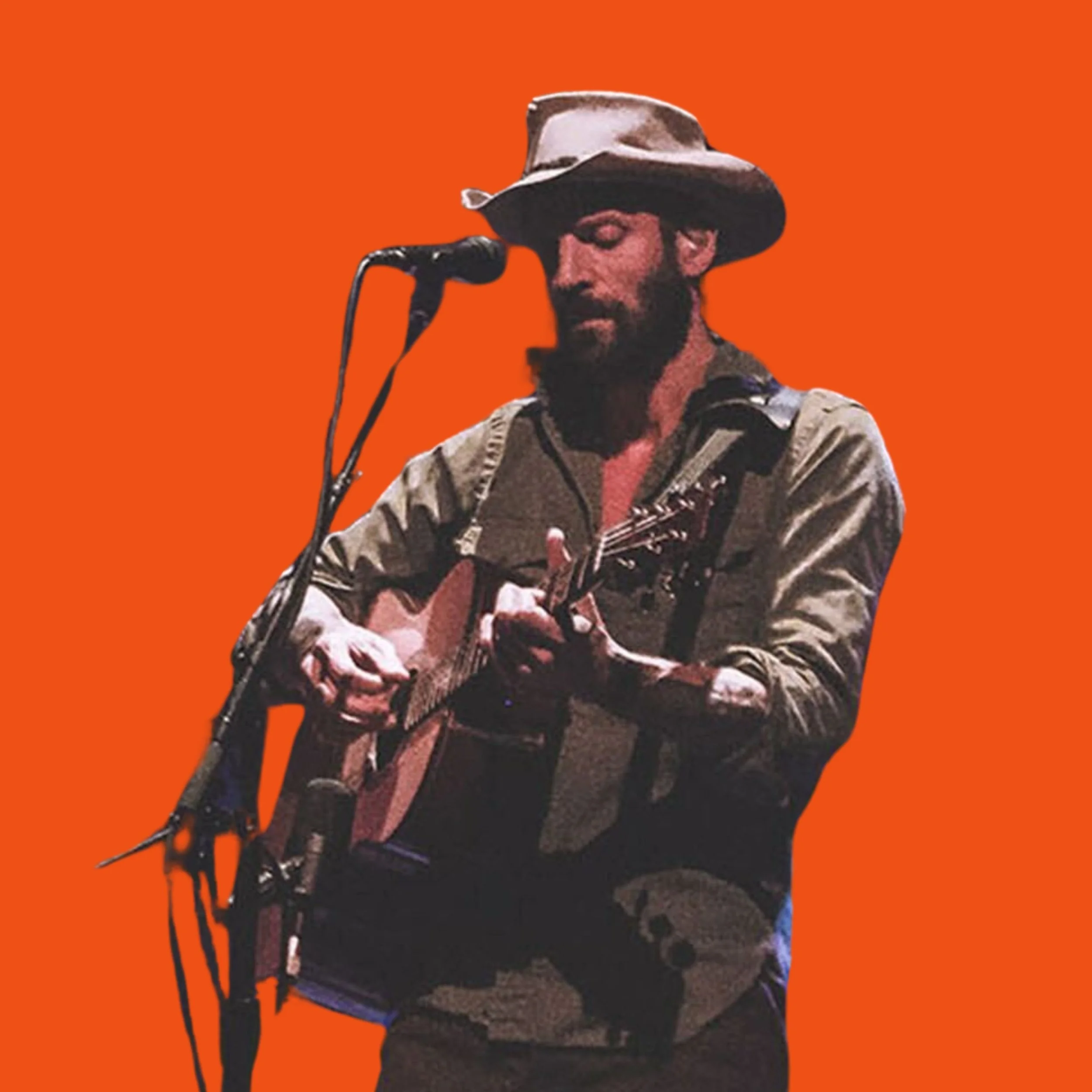 Fans at a Ray Lamontagne concert